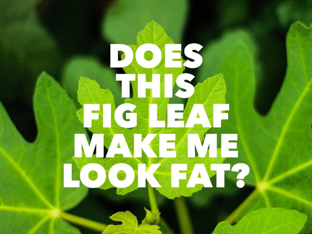 a poster saying DOES THIS FIG LEAF MAKE ME LOOK FAT?