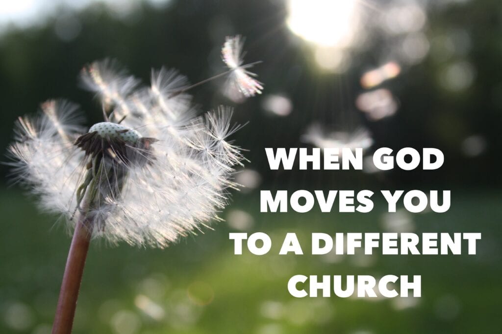 a dandelion with text beside it saying WHEN GOD MOVES YOU TO A DIFFERENT CHURCH