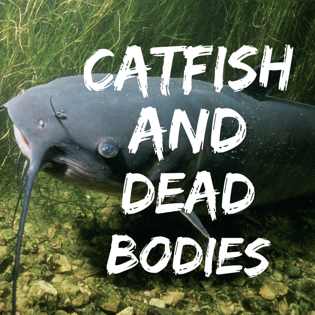 a poster saying CATFISH AND DEAD BODIES with a catfish in the background