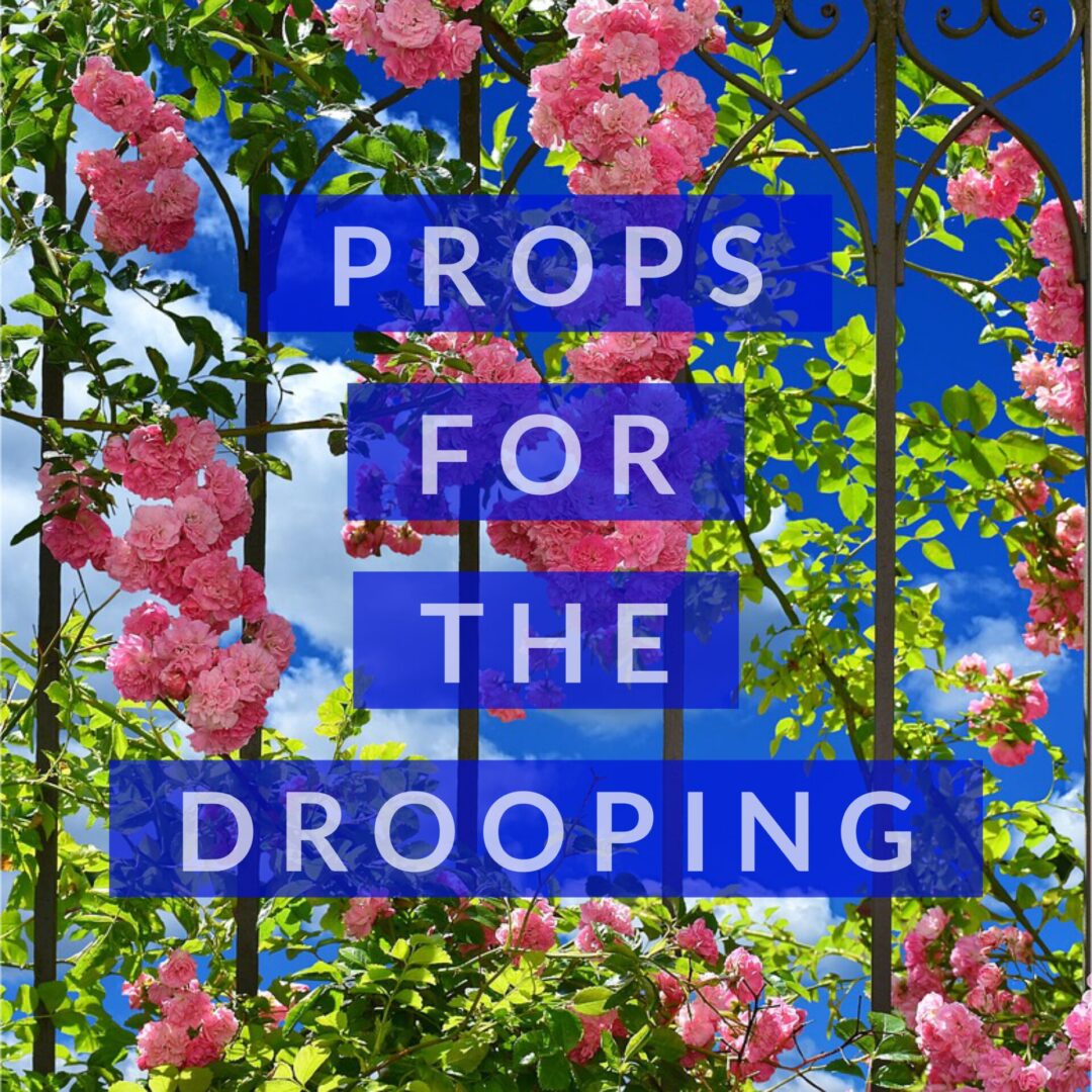 a poster saying PROPS FOR THE DROOPING with flowers in the background