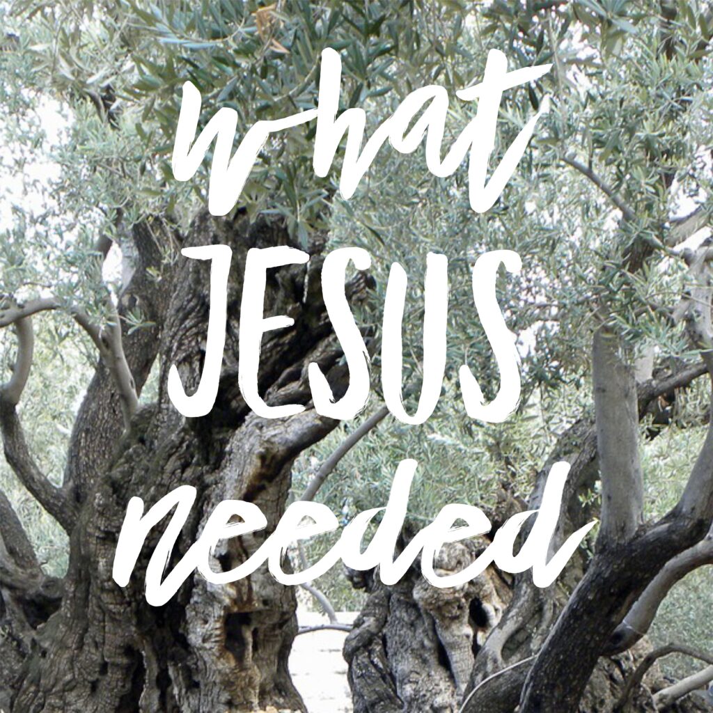 a photo of a tree with text saying what JESUS needed