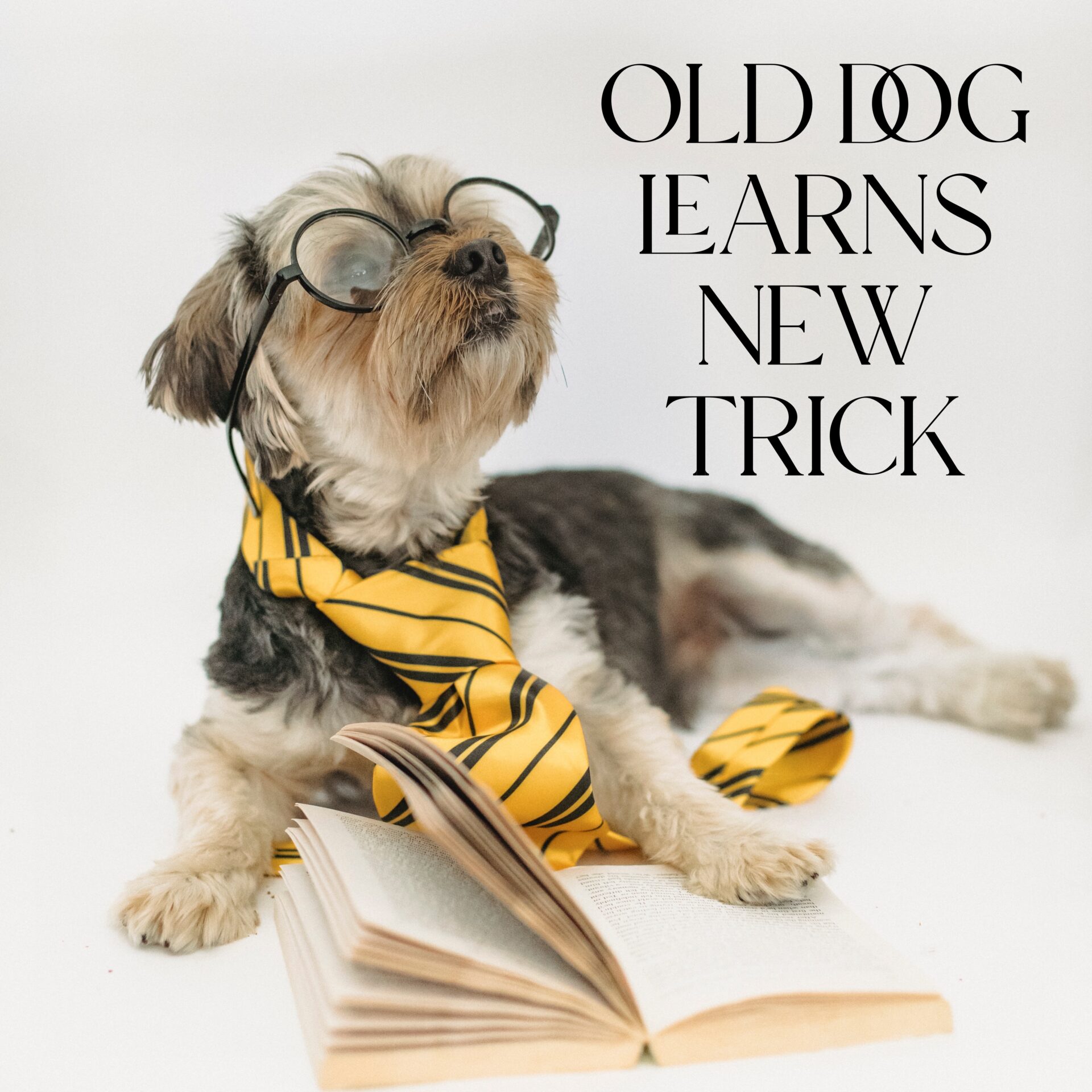 Old Dog Learns New Trick Cover Image