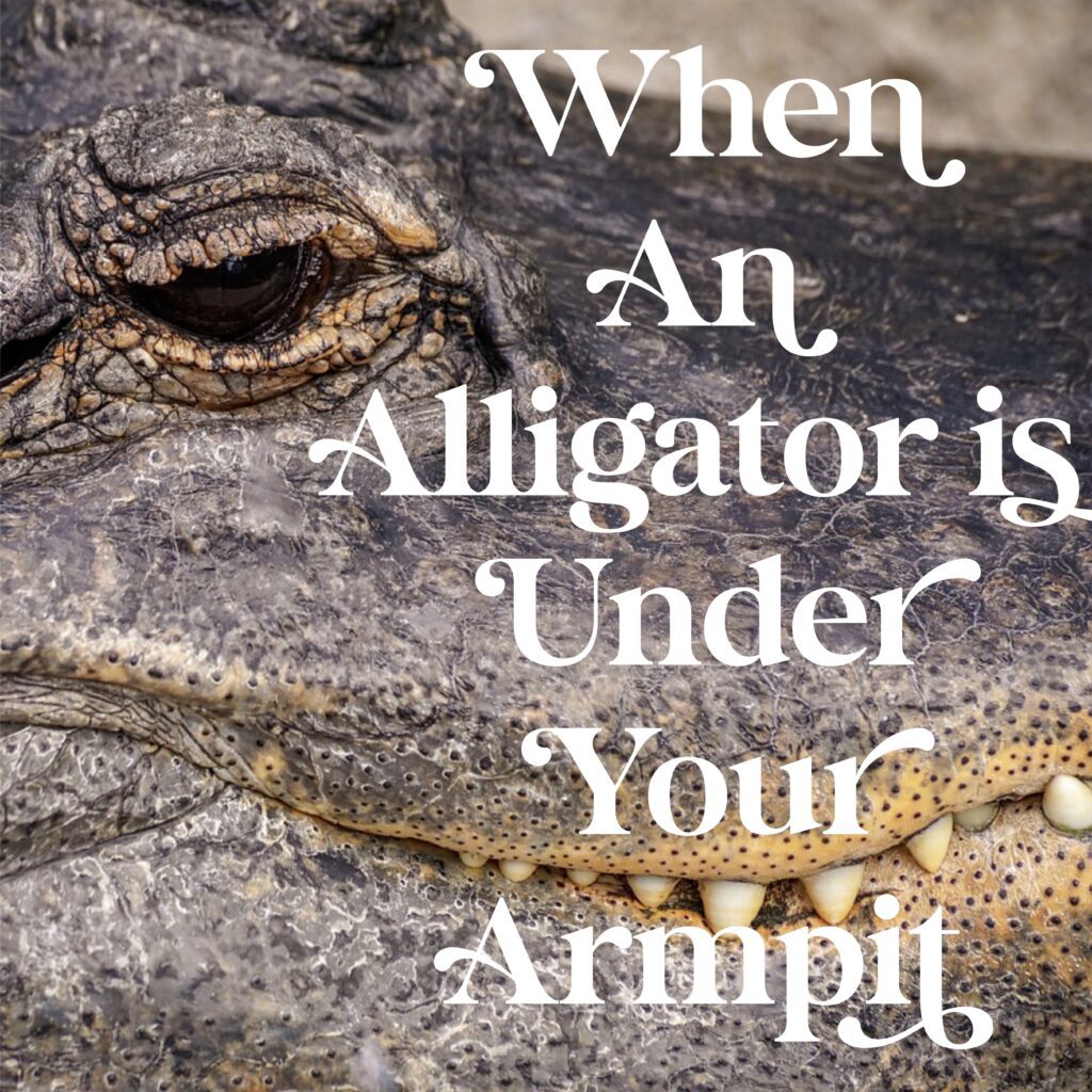 When An Alligator Is Under Your Armpit