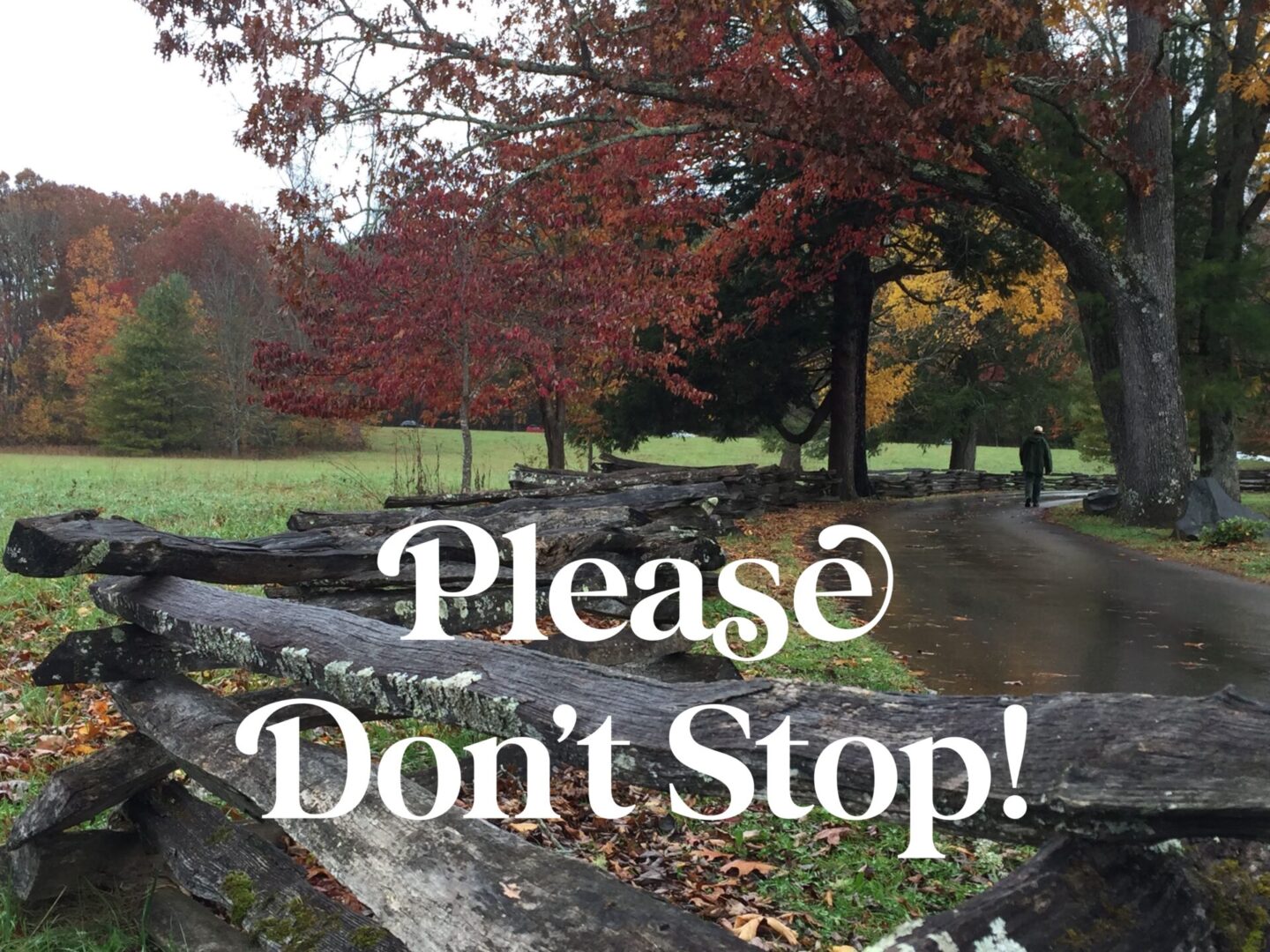 IMG_1366 A picture of some trees and grass with the words " please don 't stop !"